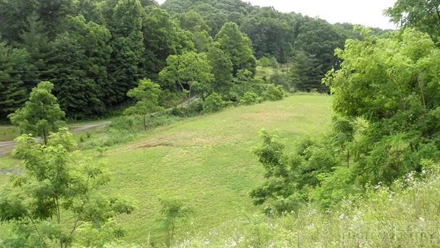 Image number 9 for the current listing