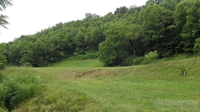 Image number 8 for the current listing