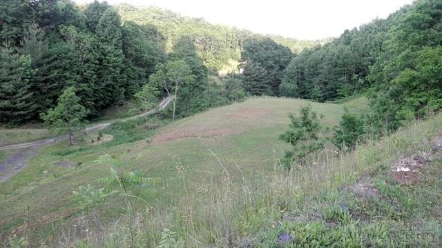 Image number 4 for the current listing