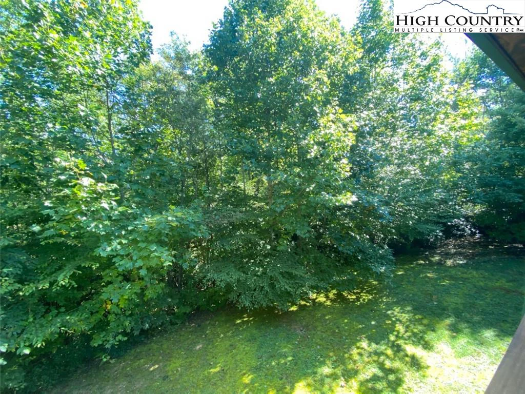 Image number 11 for the current listing