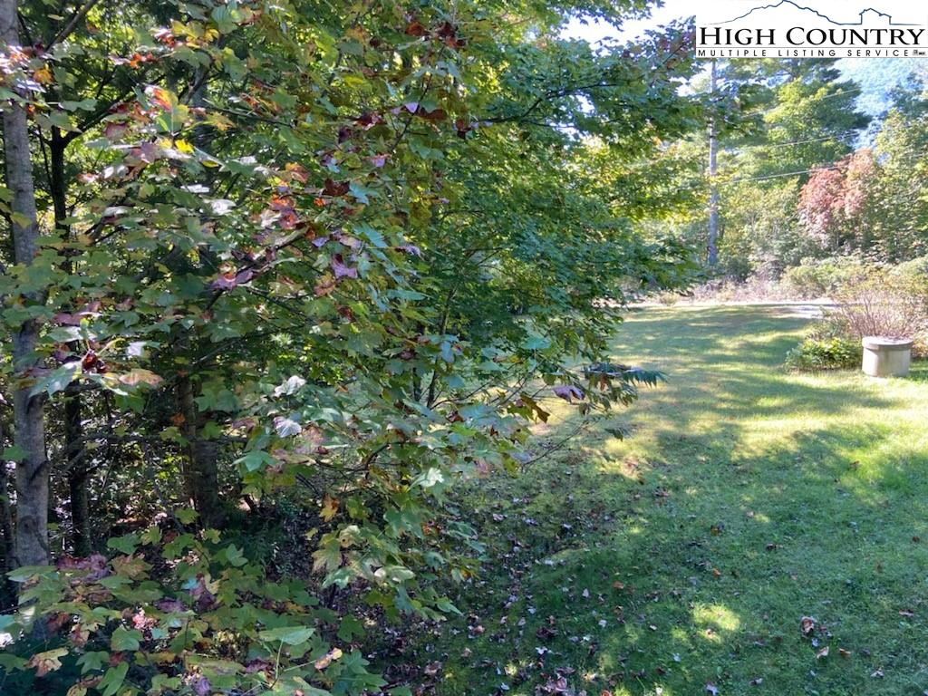 Image number 2 for the current listing