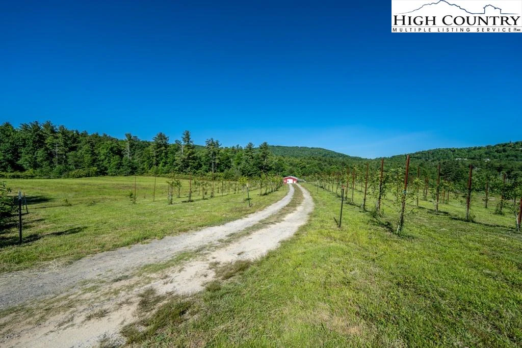Image number 1 for the current listing