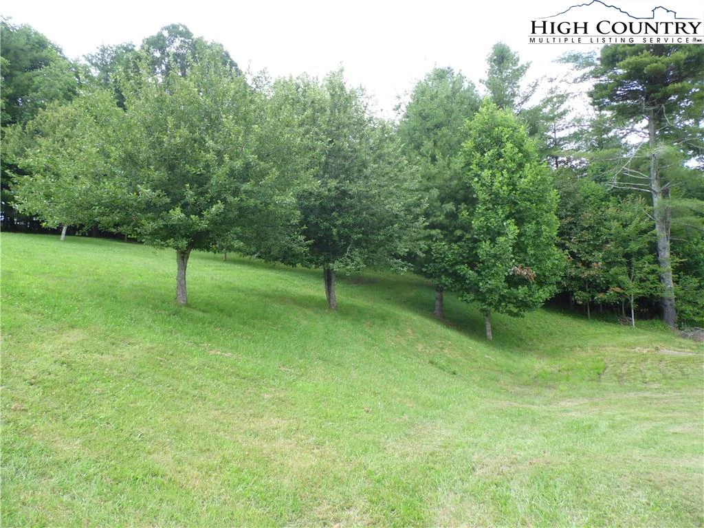Image number 7 for the current listing