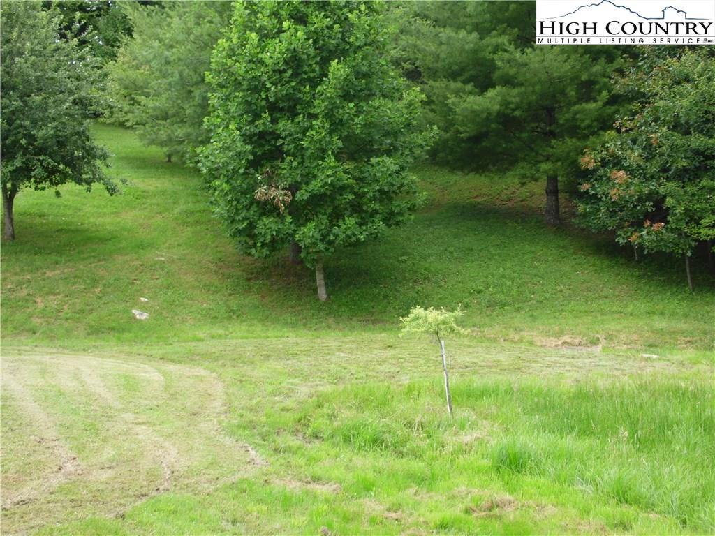 Image number 16 for the current listing