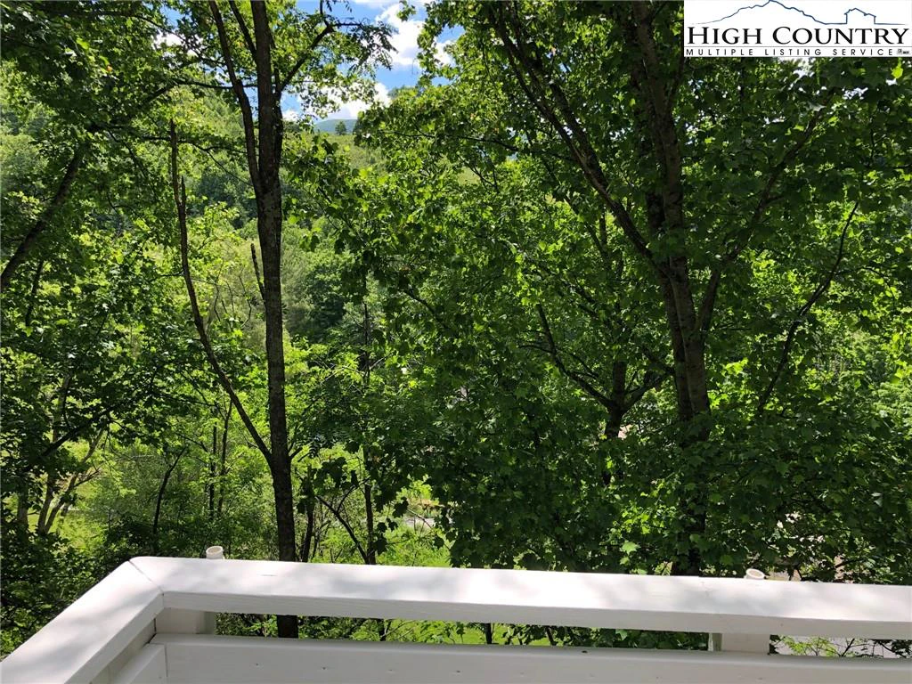 Image number 2 for the current listing