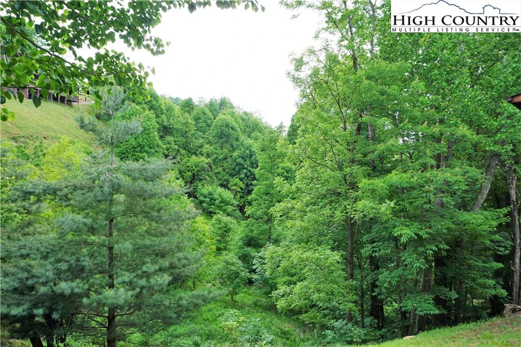 Image number 17 for the current listing