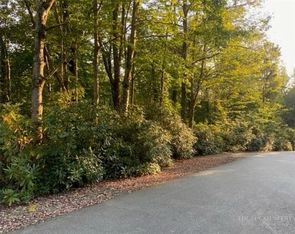Image number 1 for the current listing