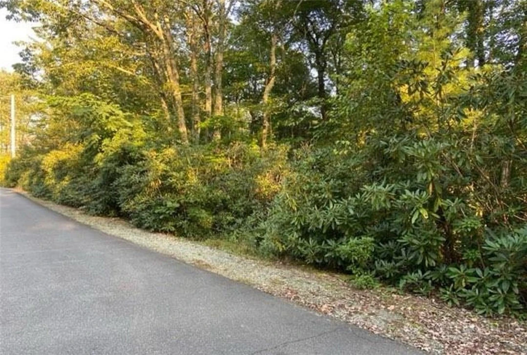 Image number 2 for the current listing