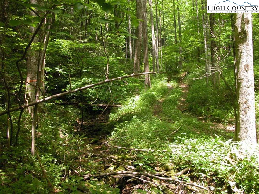 Image number 3 for the current listing