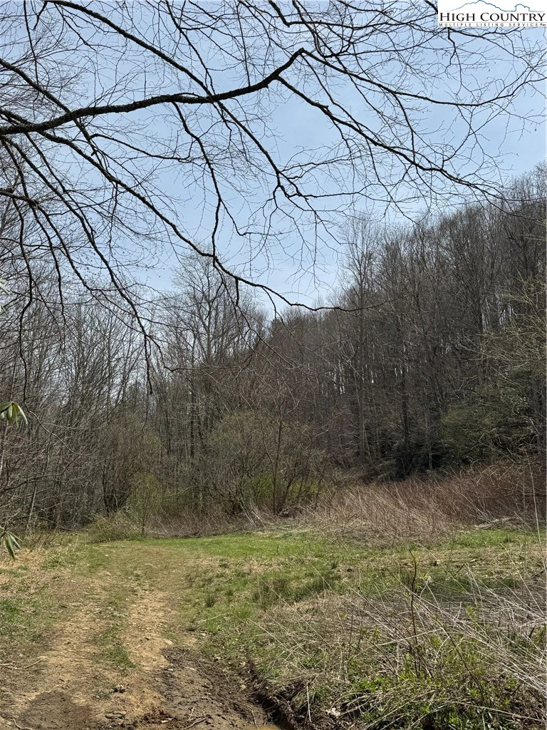 Image number 3 for the current listing