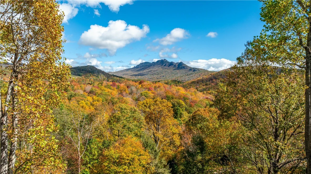 Image number 19 for the current listing
