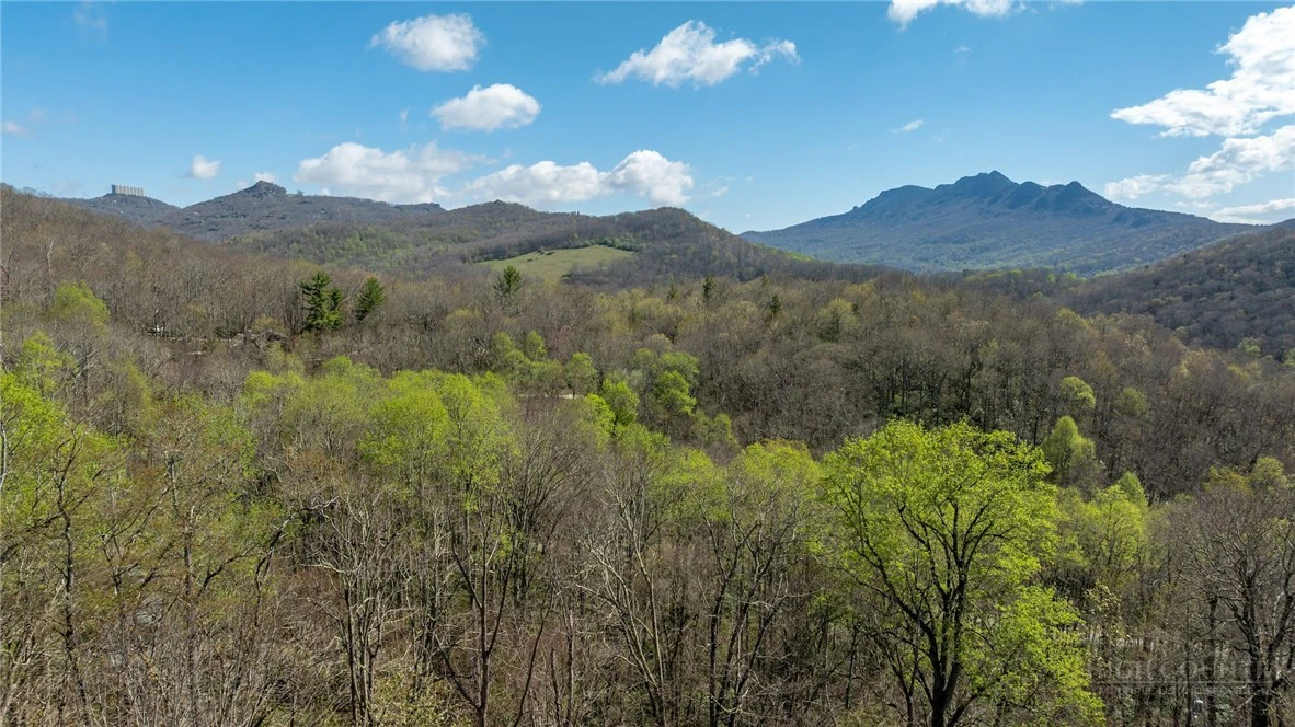 Image number 18 for the current listing