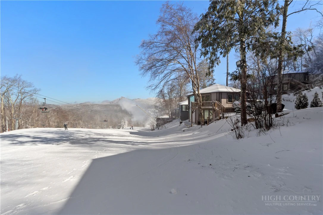 Image number 1 for the current listing