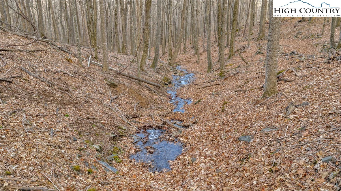 Image number 18 for the current listing