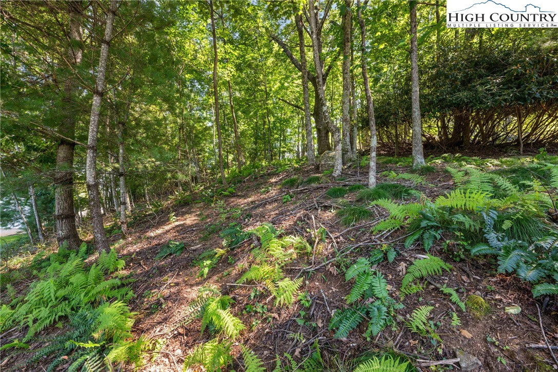 Image number 11 for the current listing