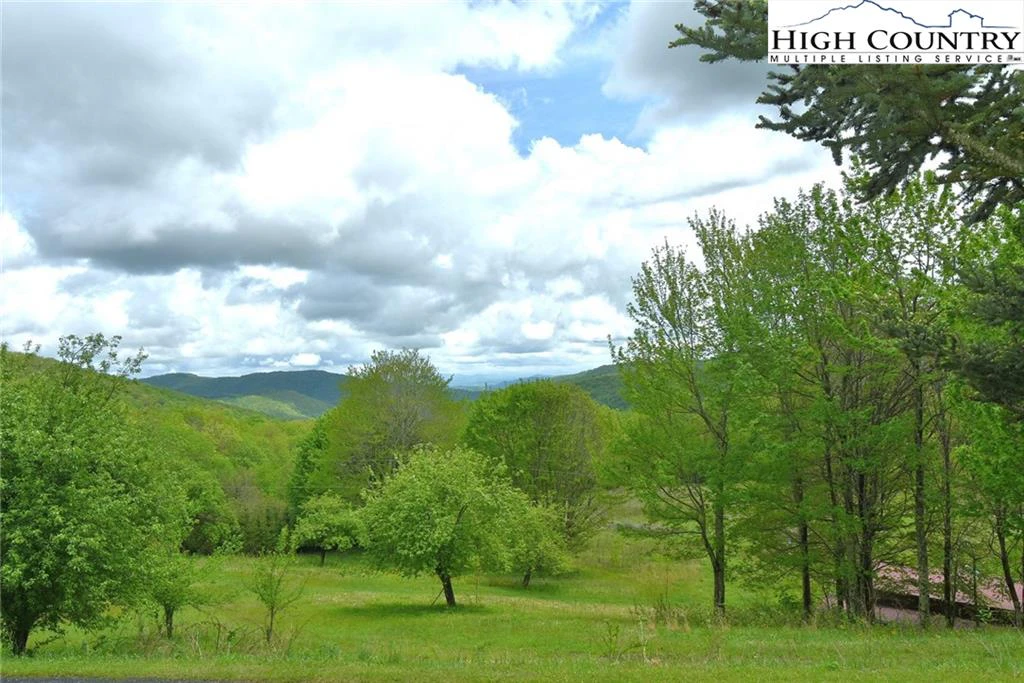 Image number 4 for the current listing