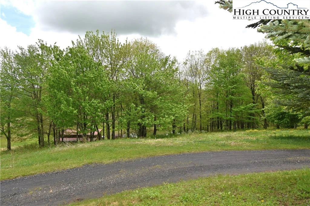 Image number 5 for the current listing
