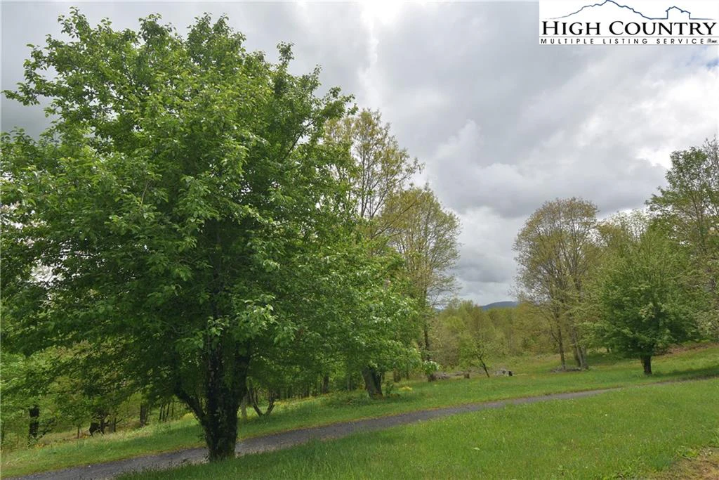 Image number 7 for the current listing