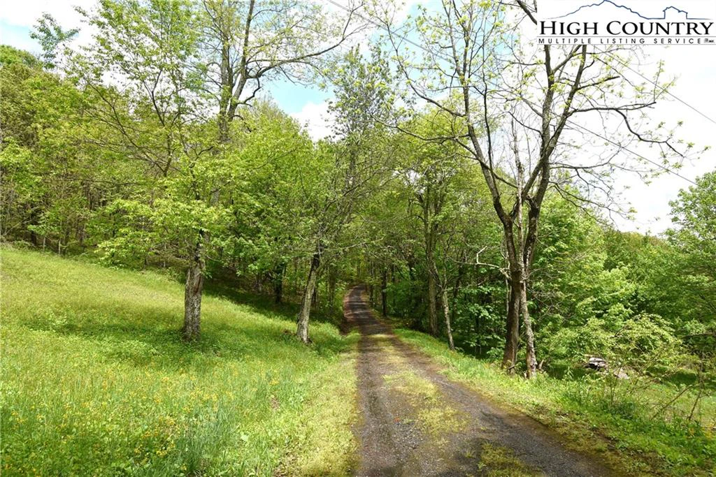 Image number 10 for the current listing