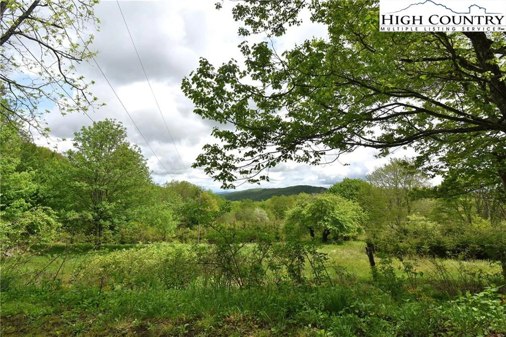 Image number 11 for the current listing