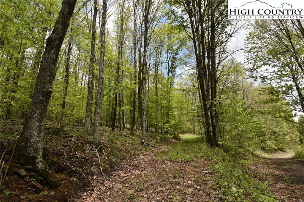 Image number 12 for the current listing