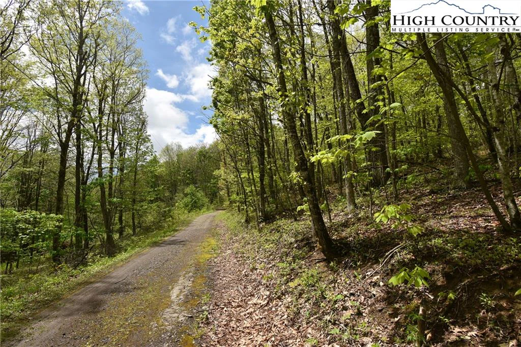 Image number 14 for the current listing