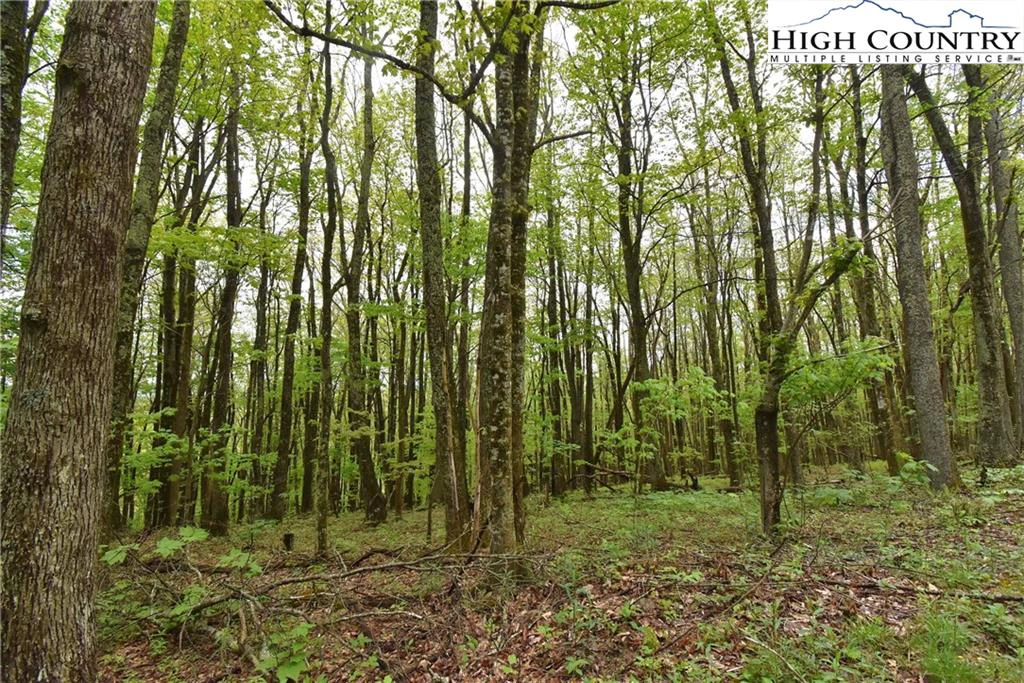 Image number 18 for the current listing
