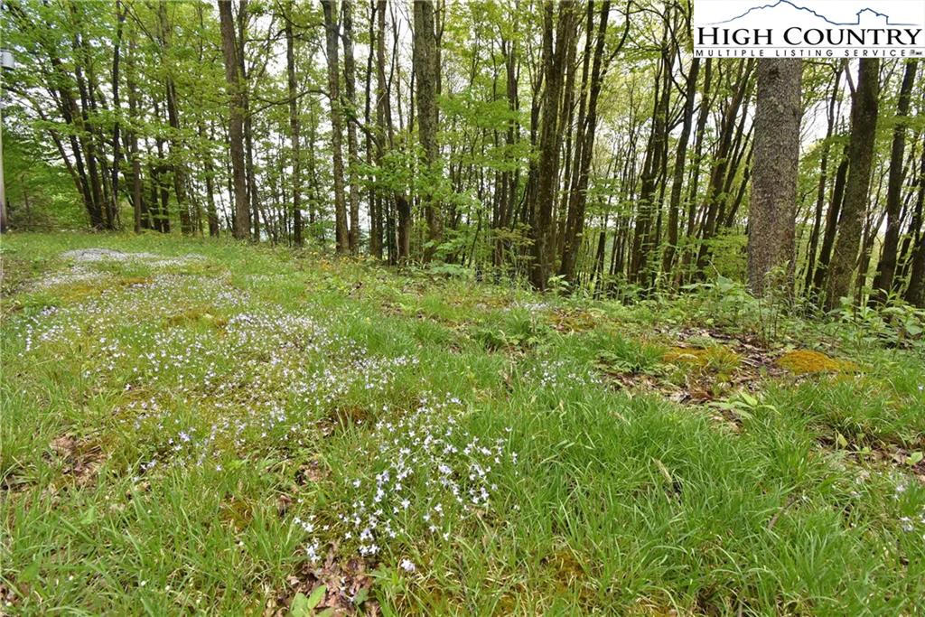 Image number 19 for the current listing