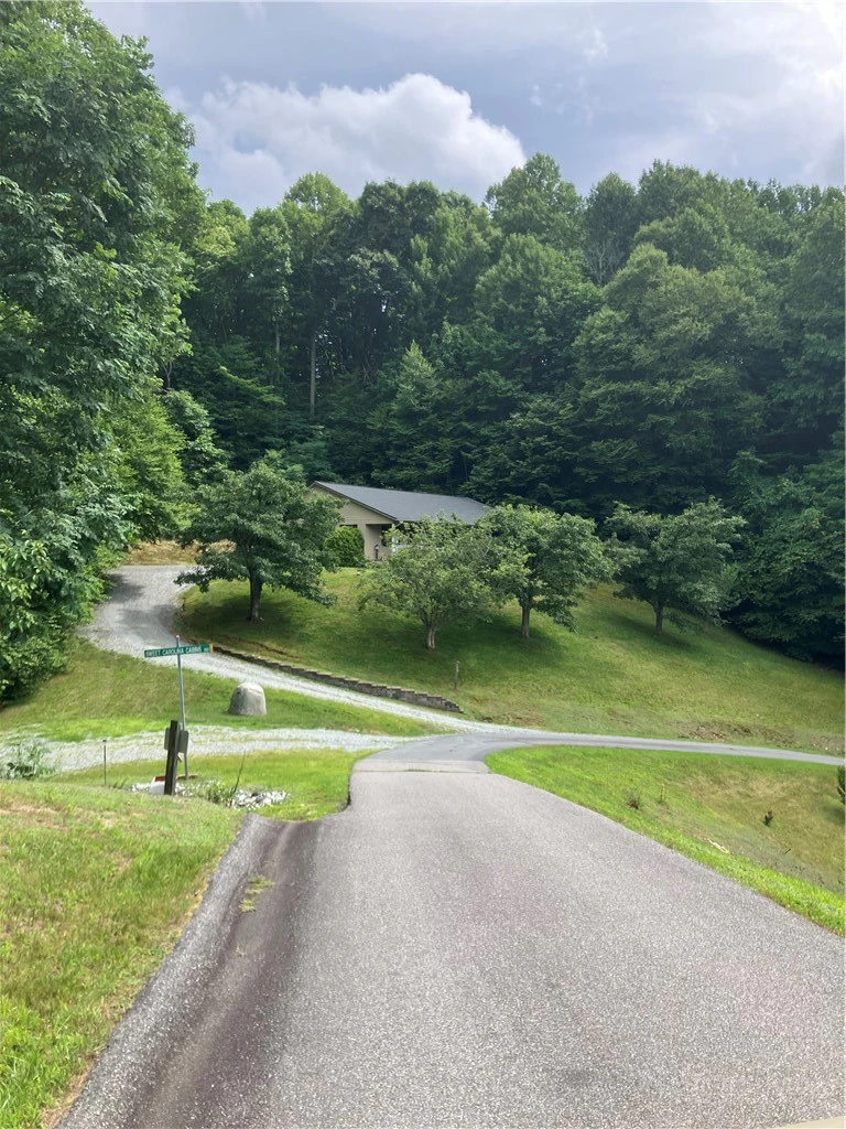 Image number 1 for the current listing