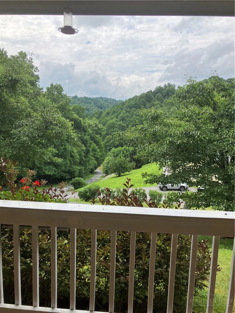 Image number 2 for the current listing