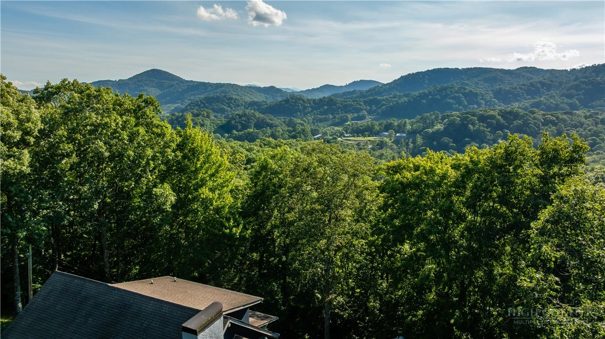 Image number 3 for the current listing