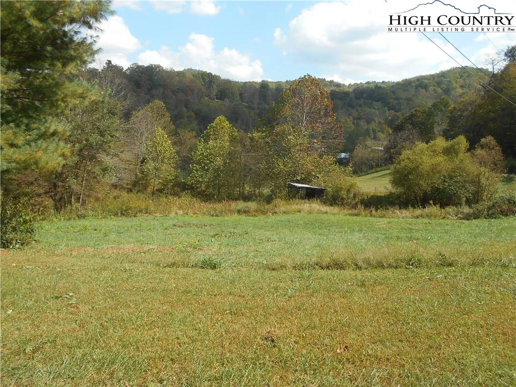 Image number 4 for the current listing
