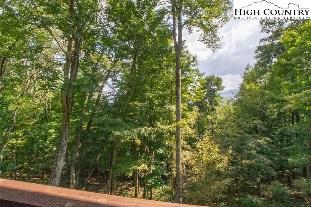 Image number 12 for the current listing