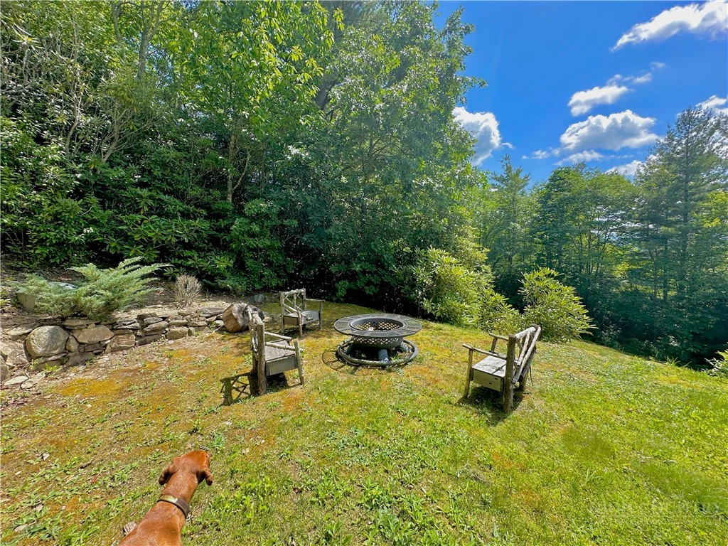 Image number 18 for the current listing