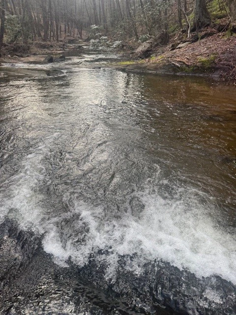 Image number 1 for the current listing
