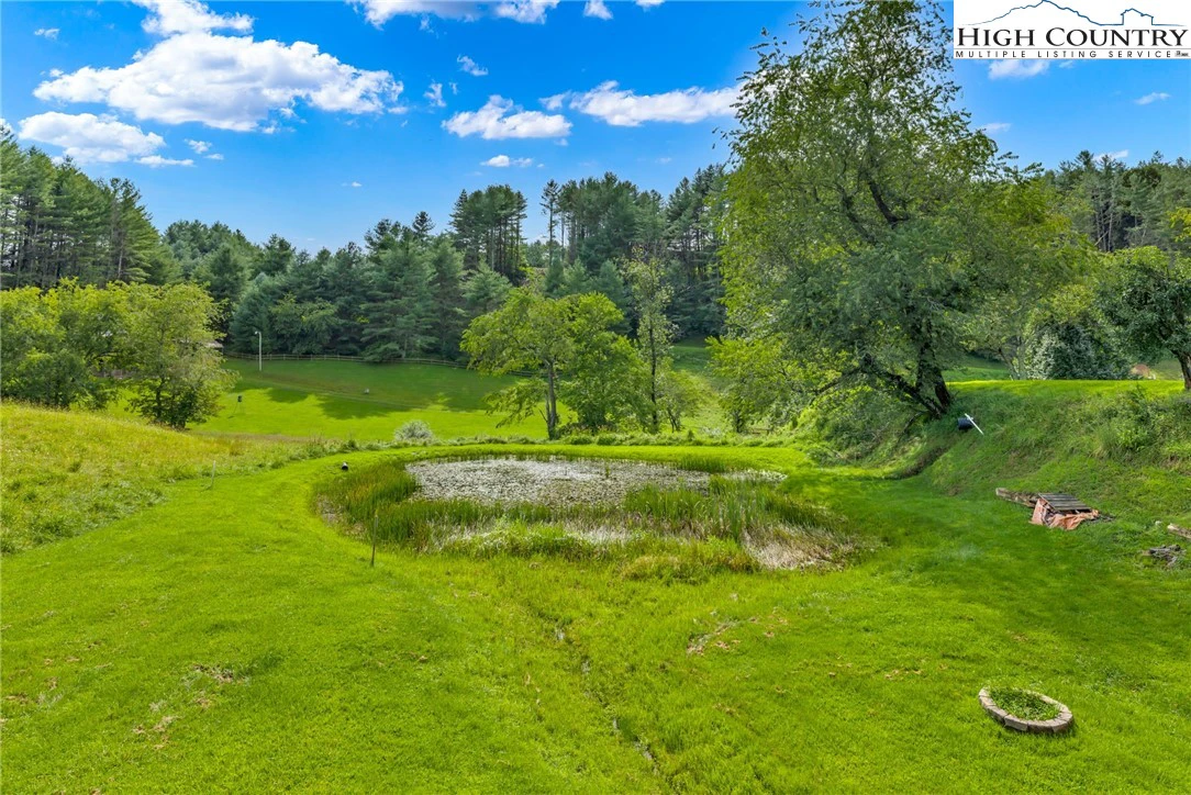 Image number 11 for the current listing