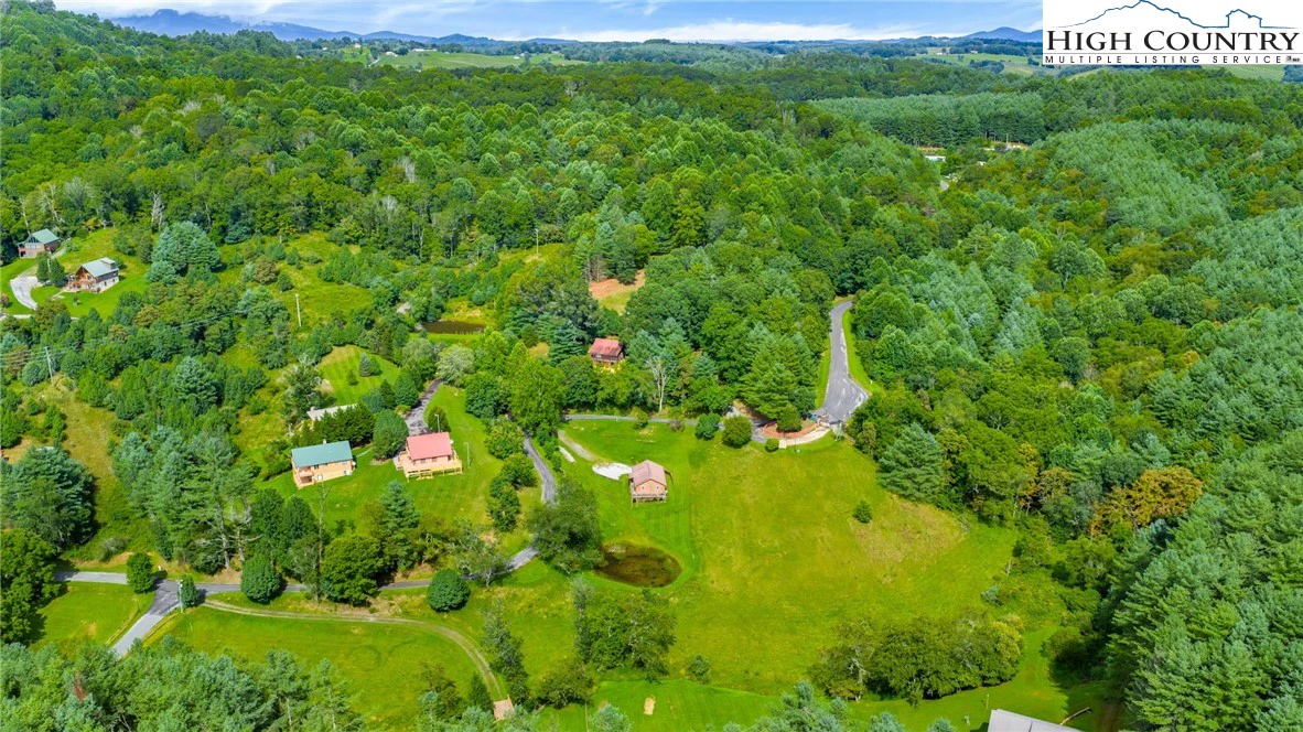 Image number 12 for the current listing