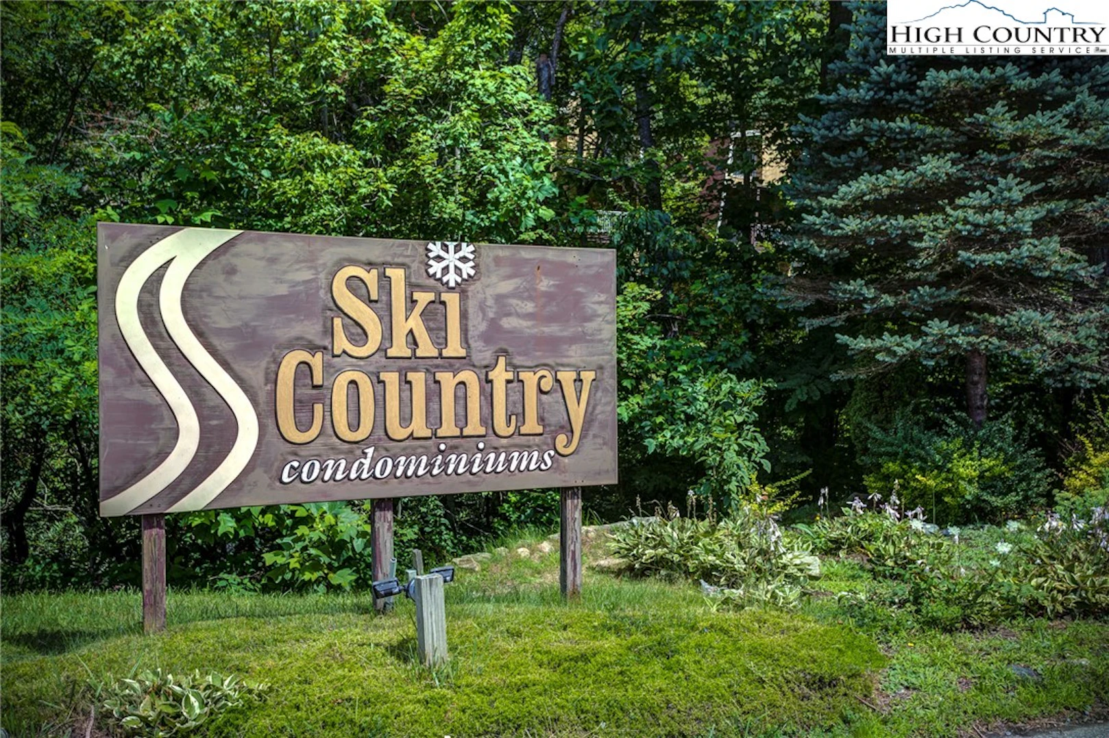 Image number 3 for the current listing