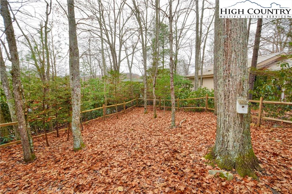 Image number 3 for the current listing