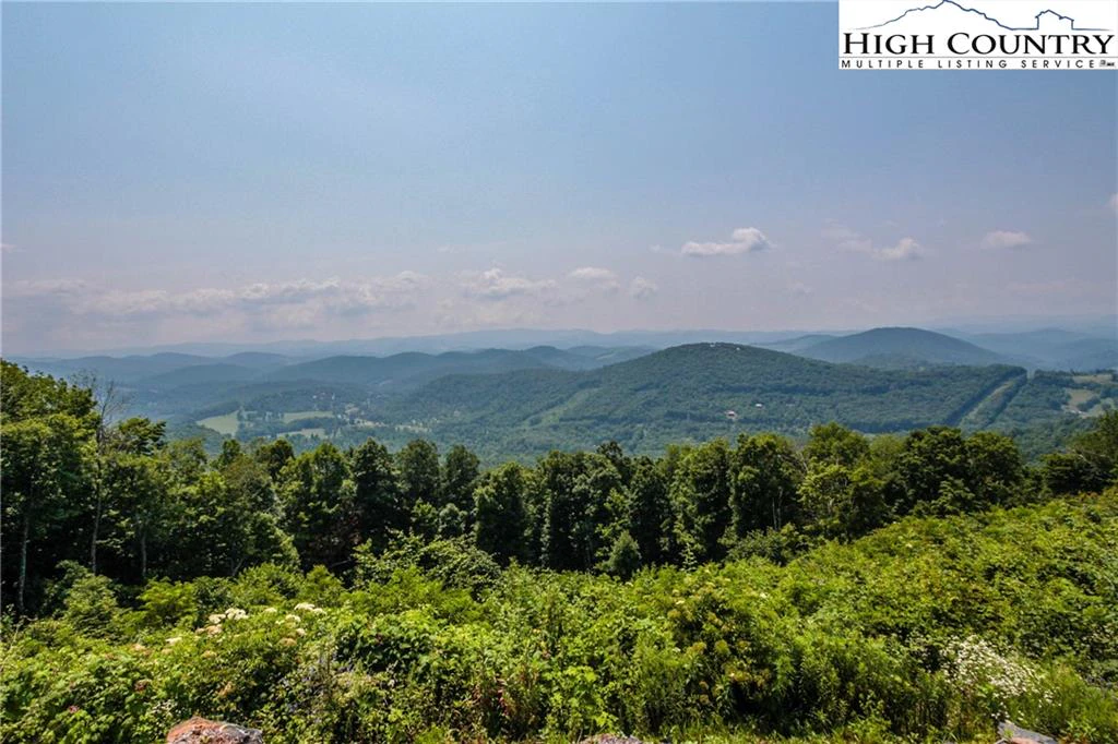 Image number 6 for the current listing