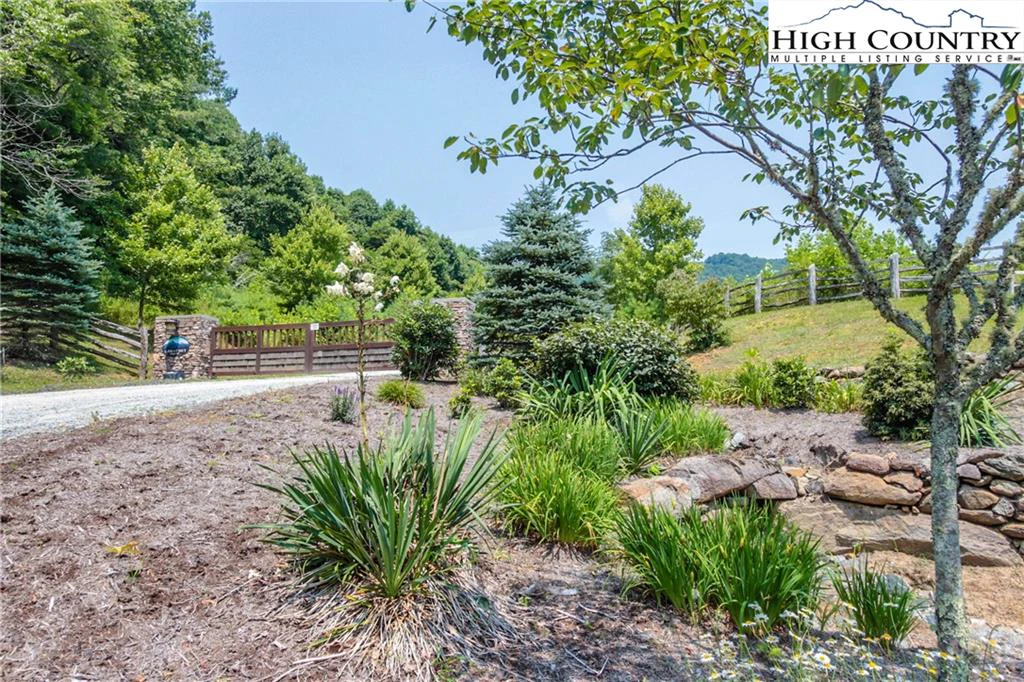 Image number 14 for the current listing