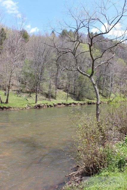 Image number 12 for the current listing