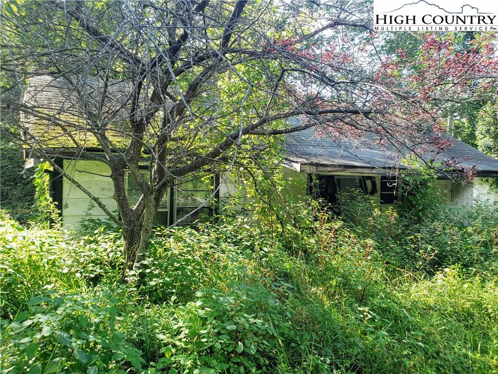 Image number 6 for the current listing