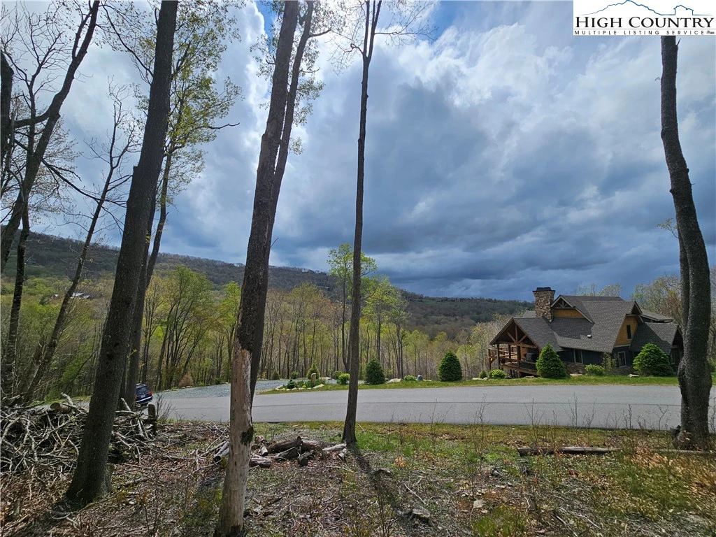 Image number 14 for the current listing