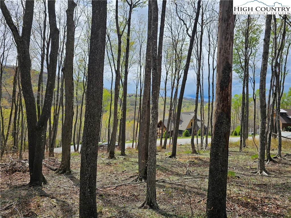 Image number 12 for the current listing