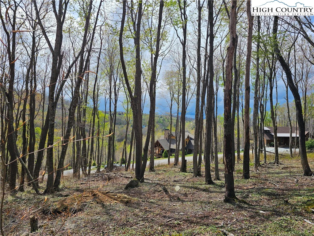 Image number 2 for the current listing