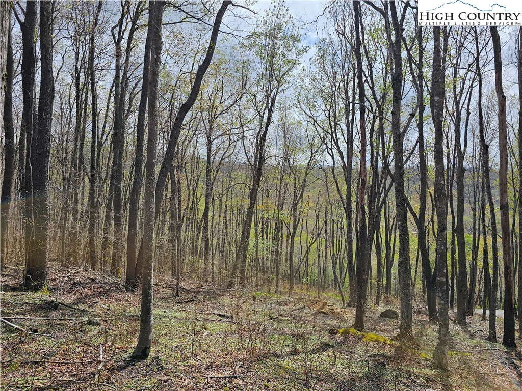 Image number 17 for the current listing