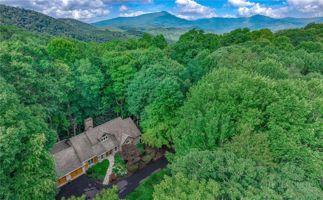 Image number 3 for the current listing