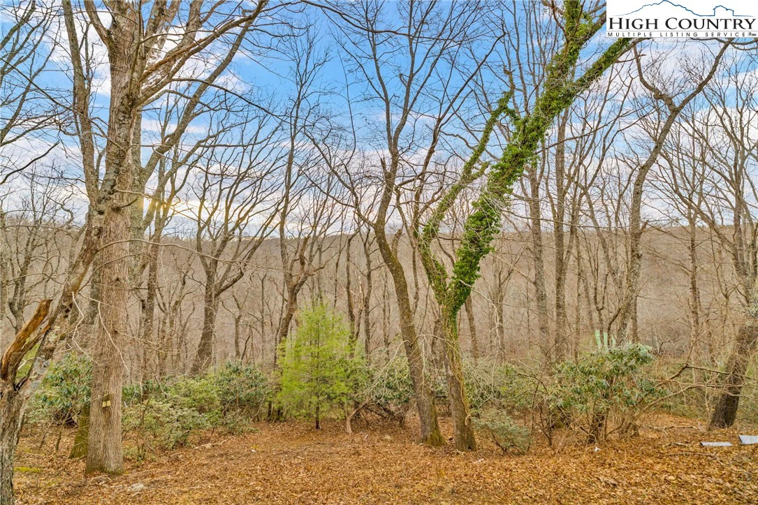 Image number 9 for the current listing