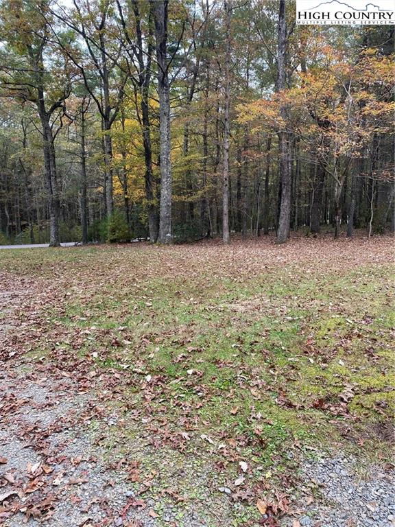 Image number 3 for the current listing